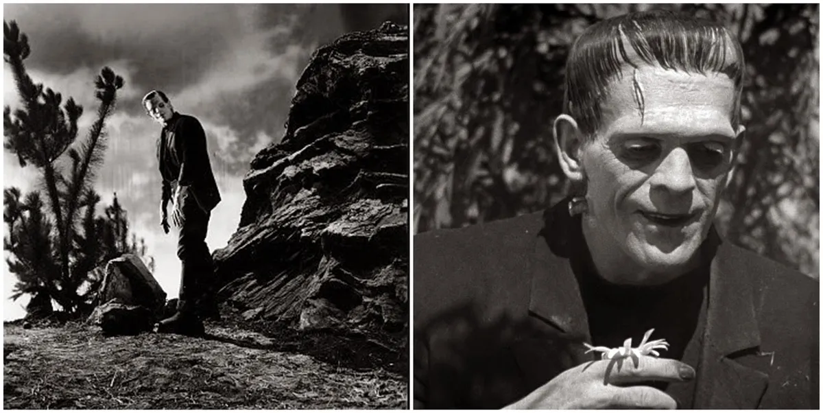 cine book, cine book club, cinema, livro, livro x filme, livro e filme, filmes de livros, filmes baseados em livros, frankenstein, boris karloff, the bride of frankenstein, frankenstein filme, filme frankenstein, a noite de frankenstein, lista de filmes frakenstein, o moderno prometeu,james whale, filmes james whale,