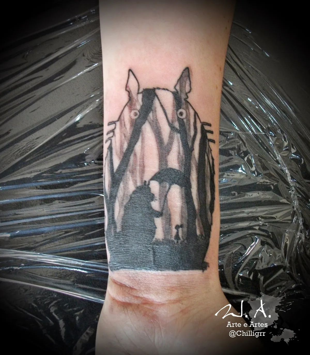 totoro art, painting, totoro watercolor, totoro tattoo